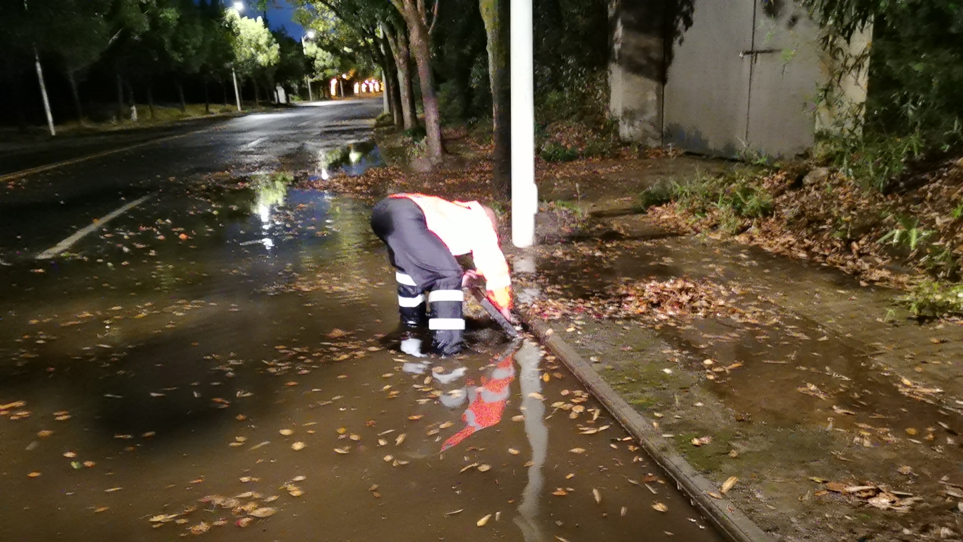 19862683.png 19862683.png