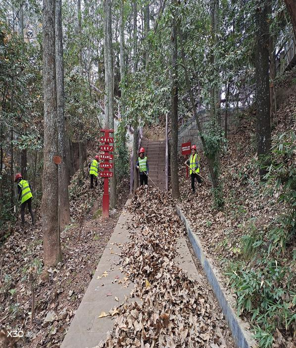 22285712.png 圖片5.png