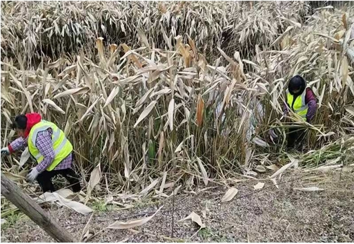 51074324.png 微信截圖_20250221151908.png