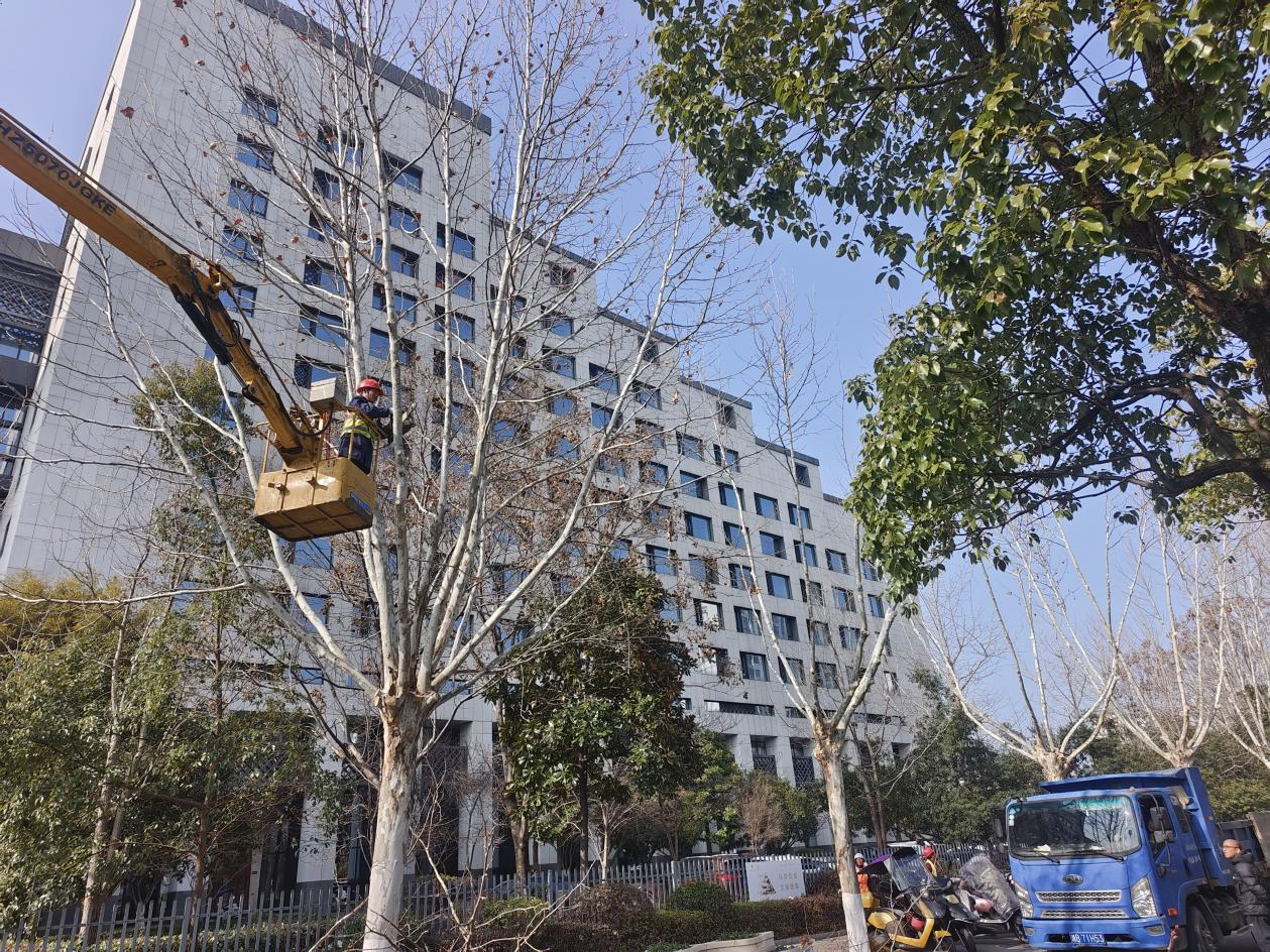 85896765.png 圖片1.png