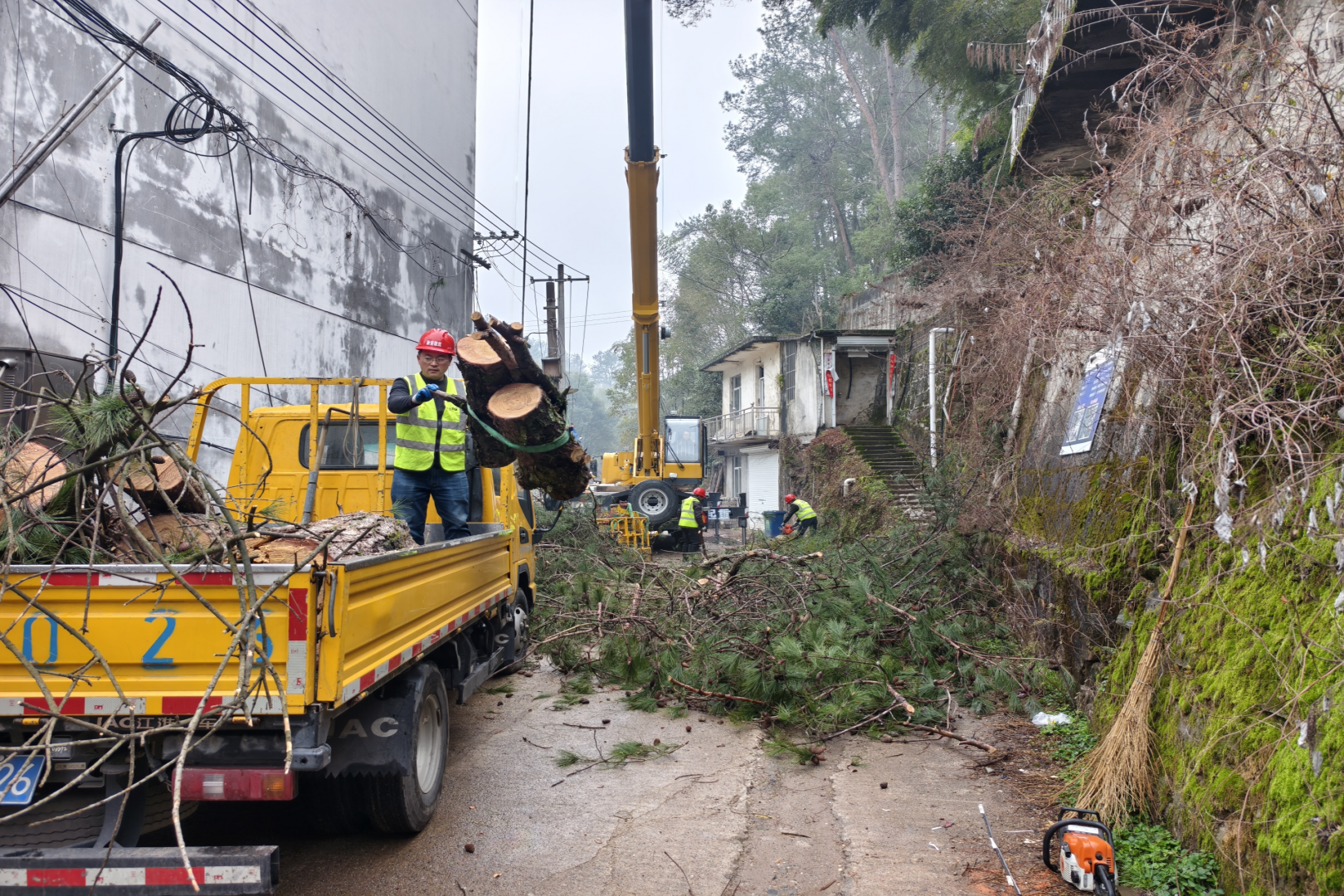 35562230.png 圖片2_副本.png