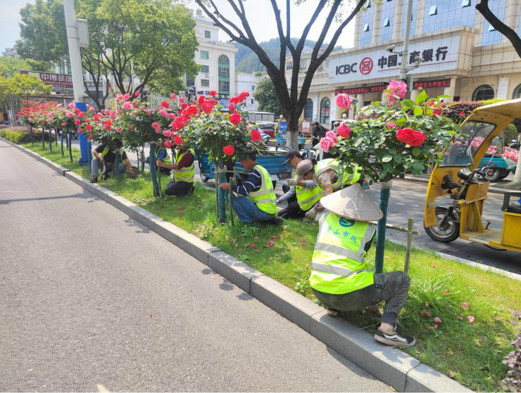 79377573.png image.png