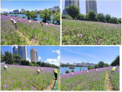 19494473.png 微信截圖_20250704174056.png